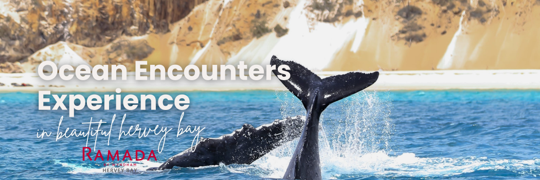ocean-encounters-experience-package